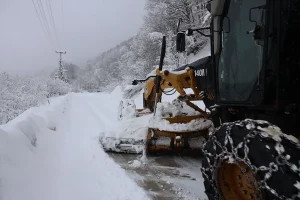 Yoğun Kar Yağışı: 226 Köy Yolu Açıldı