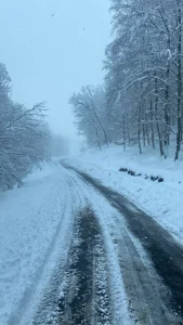 Zonguldak’ta 185 Köy Yolu Kapandı