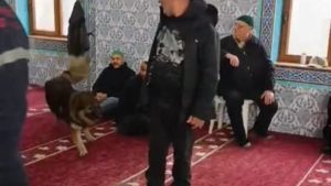 Zonguldak’ta camiye başıboş köpek girdi