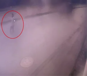 Annenin Oğlunu Denize Atması: Adliyeye Sevk Edildi