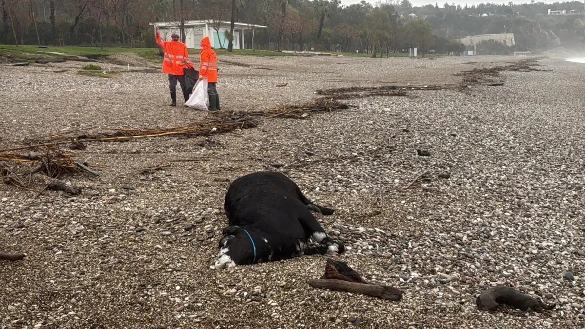 Antalya’da Sel Felaketi