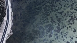 Avlan Gölü Yağışlarla Yeniden Dolu