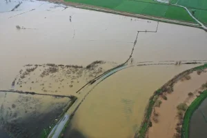 Aydın’da Sağanak: Yol ve Tarım Arazileri Su Altında
