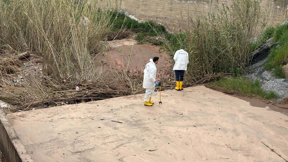 Aydın’da yaşlı çiftin öldürüldüğü cinayetin faili hurdacı çıktı