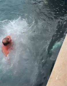 Balıkçı soğukta orkinosu kurtardı