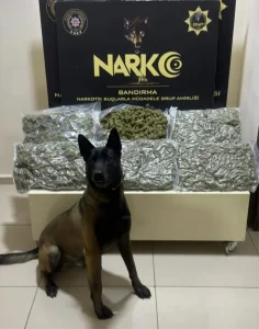 Balıkesir’de Uyuşturucu Operasyonu: 3 Tutuklama