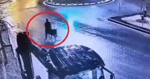 Banka soyup eşekle kaçmıştı! Verdiği ifade dikkat çekti