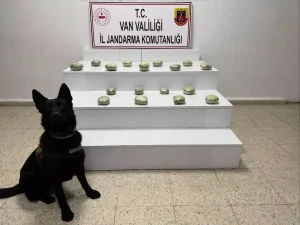Başkale’de 20 Kilogram Esrar Ele Geçirildi