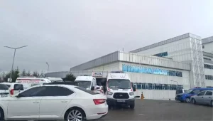 Bingöl-Muş Yolunda Kaza: 7 Yaralı