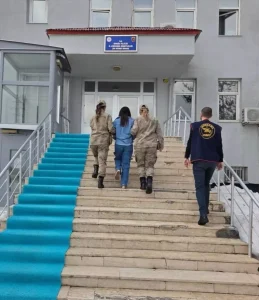 Bingöl’de 8 Firari Hükümlü Yakalandı