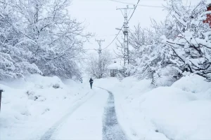 Bingöl’de Kar Yağışı Hayatı Olumsuz Etkiliyor