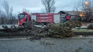 Bingöl’de Kaza: Sürücü Hayatını Kaybetti