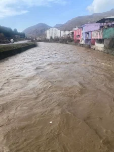 Bitlis Çayı Taşarak Evleri Tehdit Ediyor