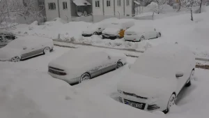 Bitlis’te 165 Yol Kapandı