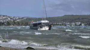Bodrum’da Fırtına: Ağaçlar Devrildi, Feribot Seferleri İptal