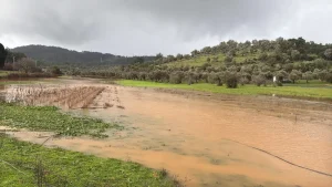 Bodrum’da Sağanak Hayatı Olumsuz Etkiledi