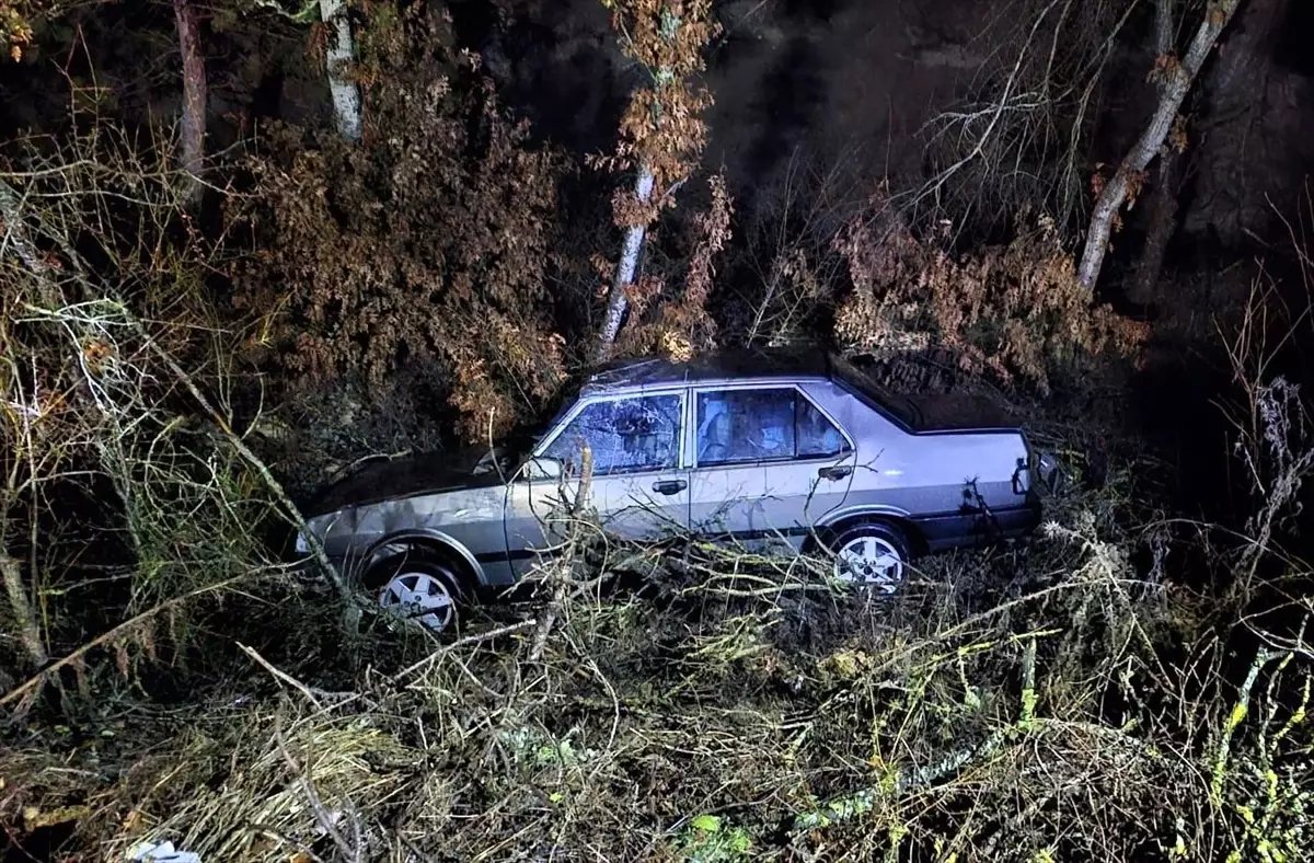 Bozüyük’te Otomobil Devrildi, Sürücü Yaralandı