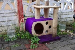 Buca’da 8 Hayvanın Ölümü Üzerine İnceleme Başlatıldı