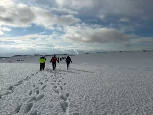 Bünyan’da Alzaymır Hastası Kayboldu, Ölü Bulundu