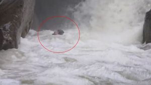 Bursa’da dağcıların su seviyesi yükselen deredeki zor anları