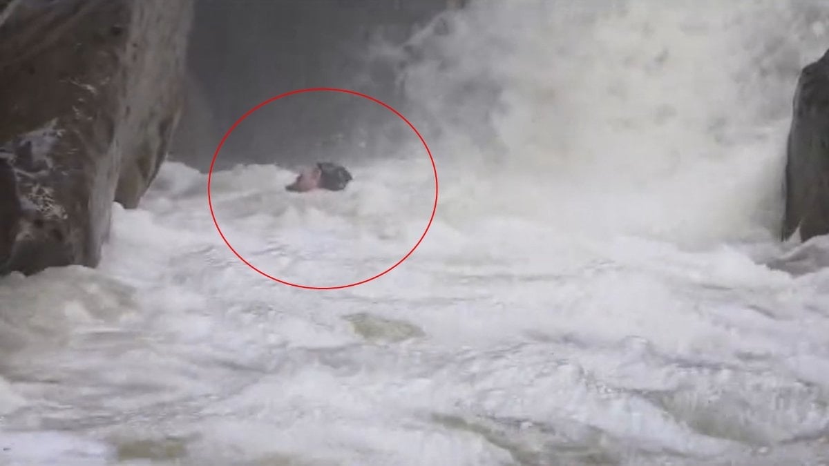 Bursa’da dağcıların su seviyesi yükselen deredeki zor anları