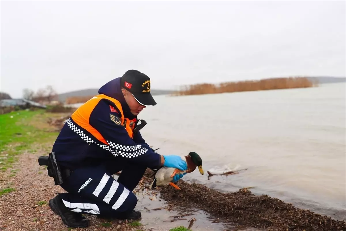 Bursa’da Kaçak Avcılara Ceza