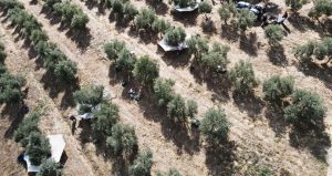 CHP’li Uzun: “Muğla’da 22 bin 970 futbol sahası büyüklüğündeki alan maden sahası yapılmak isteniyor”r”