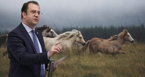 CHP’li vekil ‘kayıp atları’ sordu: Çalındı demek istiyorum ama…