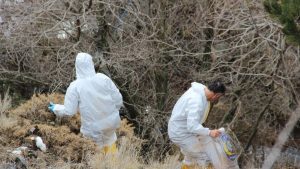 Çorum’da kan donduran cinayet: Yaşlı adamın cesedi parçalanmış halde bulundu