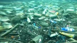 Dalgıç, Antalya’da Büyü Malzemeleri ve Değerli Eşyalar Buluyor