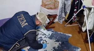 DEAŞ Operasyonunda 12 Tutuklama