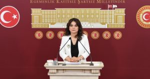 DEM Parti’den komisyon raporundan rahatsız