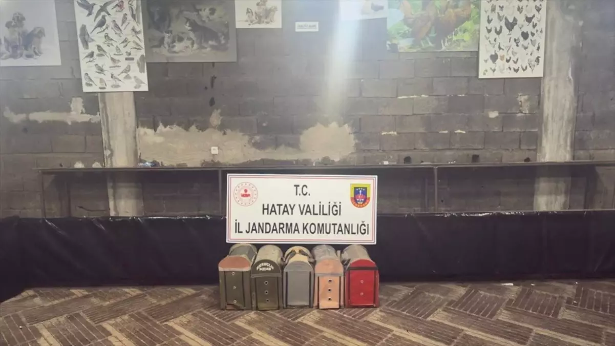 Dörtyol’da Horoz Dövüşüne 76 Kişiye Cezalı Operasyon