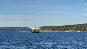 Fırtına Nedeniyle Feribot Seferleri İptal