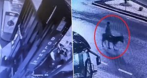 Forkliftle girdi, eşekle kaçtı! Kuyumcu soygununda akıllara durgunluk veren plan