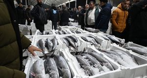 Gece denize açıldılar, sabah servetle döndüler: Yıllardır böylesi yaşanmadı