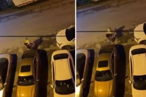 Genç kadını sokak ortasında defalarca yumrukladı