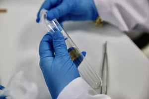 Giresun’da 500 Bin Samuray Arısı Üretilecek