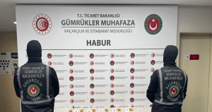 Habur’da 41 kilo kaçak altın yakalandı; 12 gözaltı