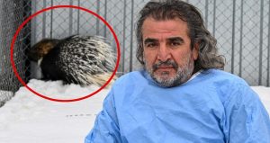 Hakkari’de ortaya çıktı apar topar harekete geçildi: Kimse karşılaşmak istemiyor