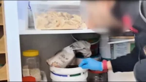 Harran’da Dolandırıcılara Operasyon