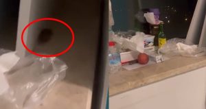 Hastaneyi fareler bastı, hastalar isyanda