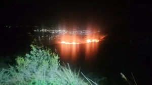 İskenderun’da Zeytin Bahçesinde Yangın Kontrol Altında