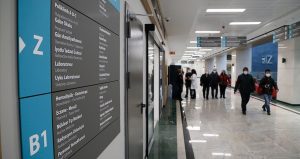 İstanbul’da geçen yıl kuduz riskli temas nedeniyle 124 bin kişi hastaneye başvurdu