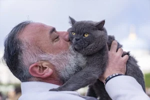 İstanbul’un Seyyah Kedisi Reis ve Kızı Pera