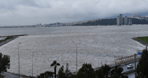 İzmir’de denizin rengi değişti