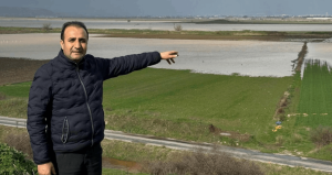 İzmir’de yağışlar çiftçinin yüzünü güldürdü