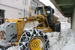Karlıova’da Kar Yağışı Eğitime Ara Verdi