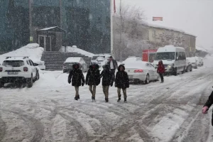 Karlıova’da Kar Yağışı Hayatı Olumsuz Etkiliyor