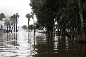 Köyceğiz Gölü’nde Su Baskınları Artıyor